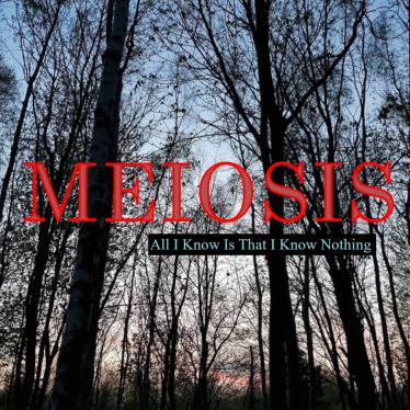 MEIOSIS 2026 Album Cover JPEG.jpg